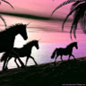 Meet your Posher, Trinity